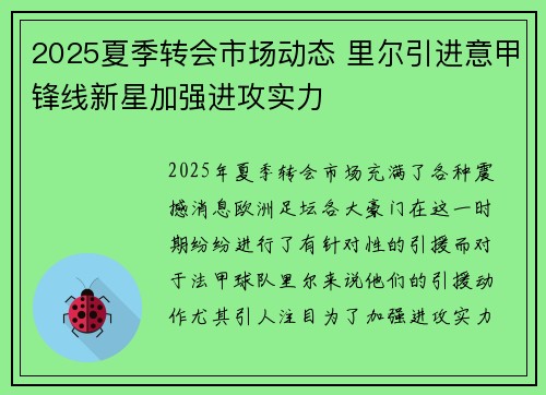 2025夏季转会市场动态 里尔引进意甲锋线新星加强进攻实力